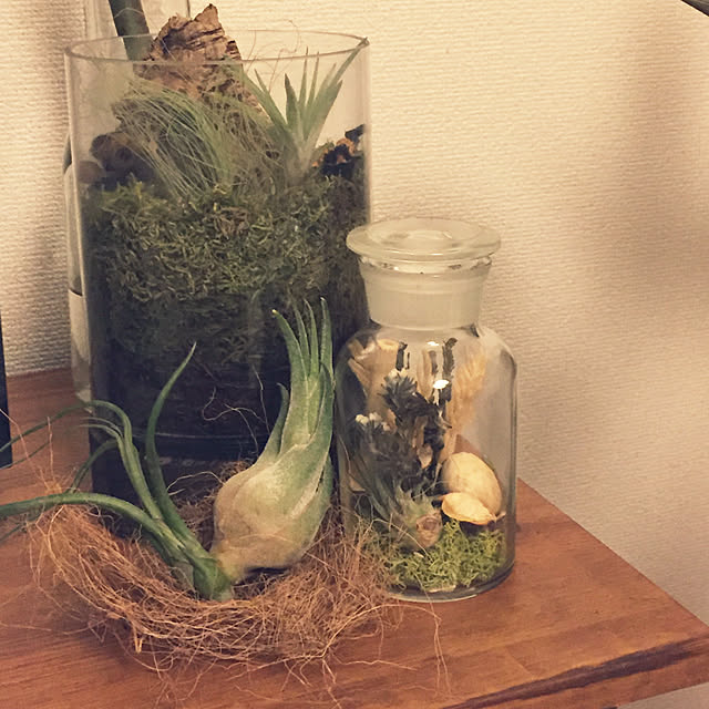 hamasakitakahiro1224さんの実例写真