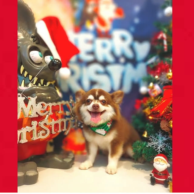 chIoeさんの実例写真