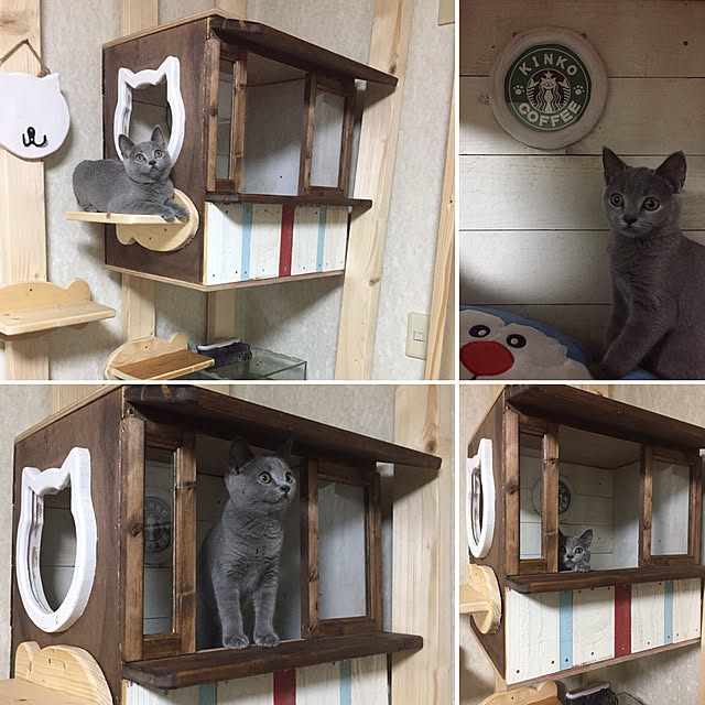 masaさんの実例写真