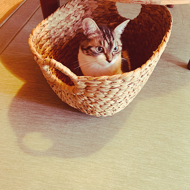 koharuさんの実例写真