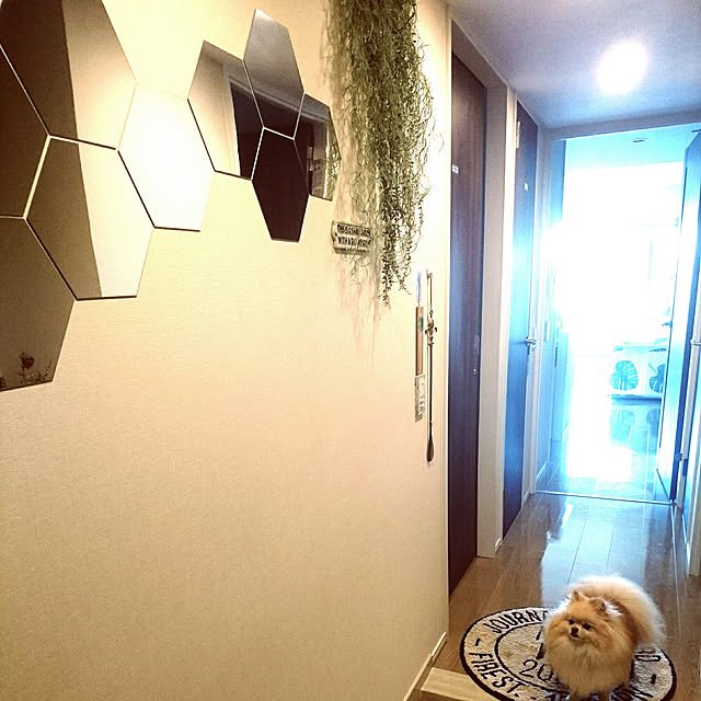 maikeru.3384さんの実例写真