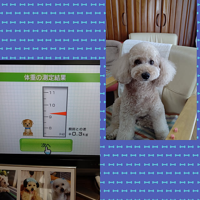yumirinさんの実例写真
