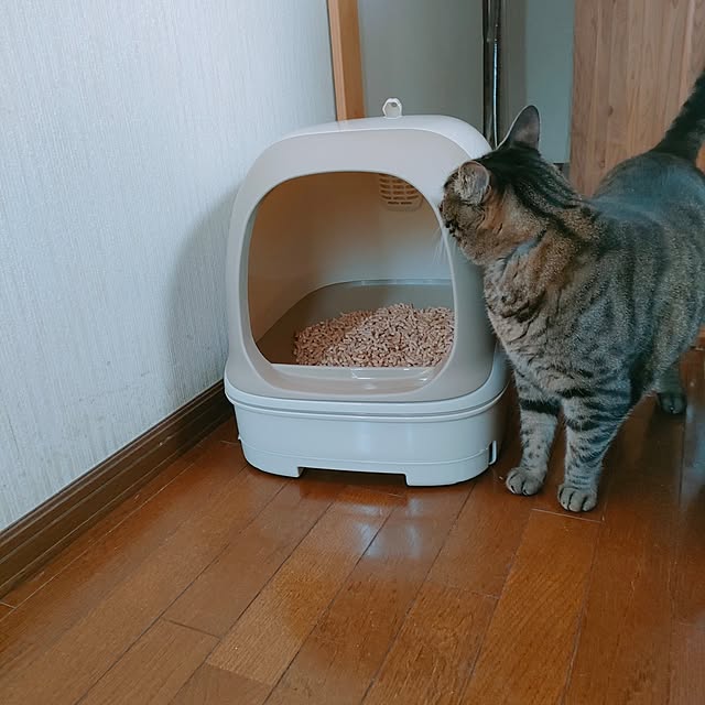 mori_6_12さんの部屋