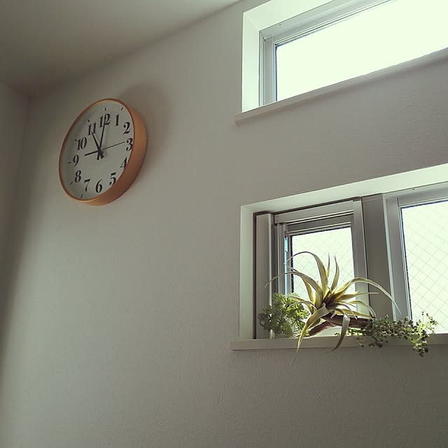 mikagl0321さんの実例写真