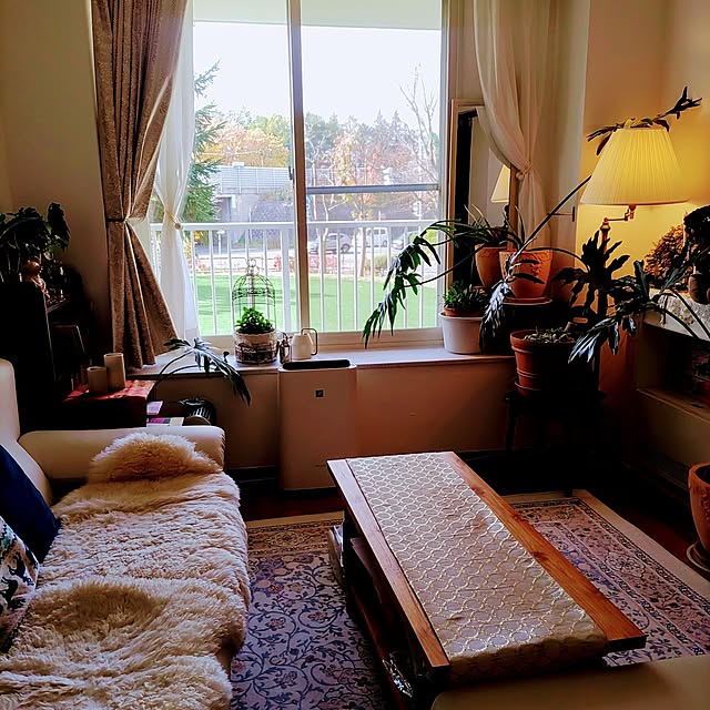nyankonecoさんの部屋