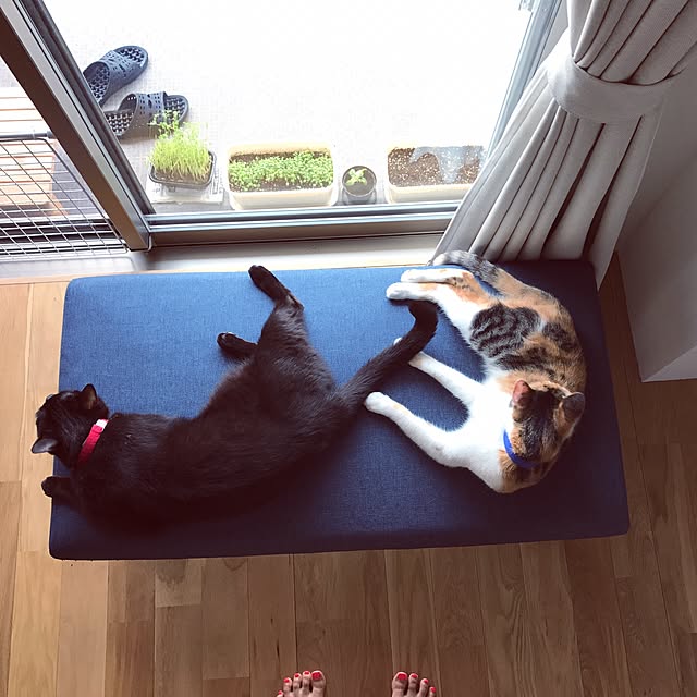 s.uraさんの実例写真