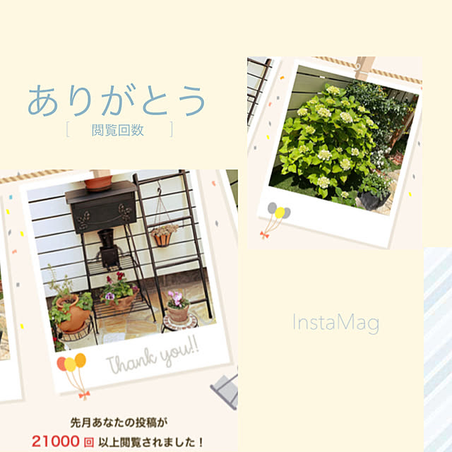 kuraさんの実例写真