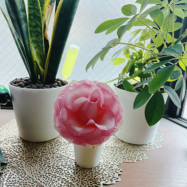 Aileenさんの部屋