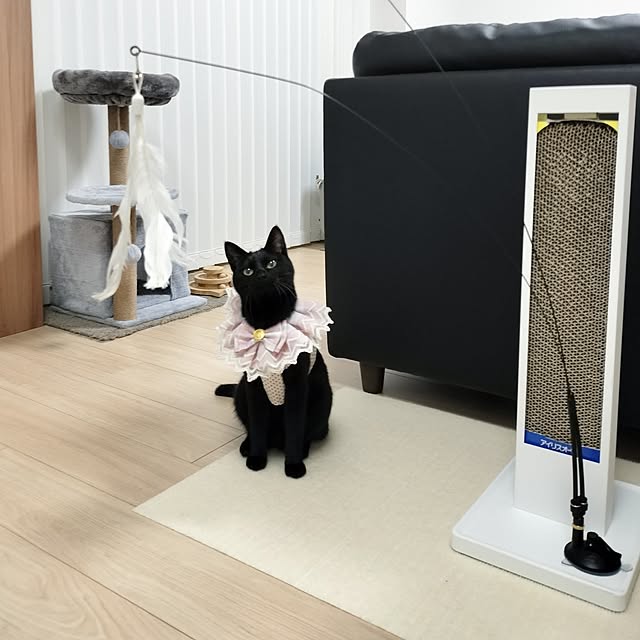 sakuraさんの実例写真
