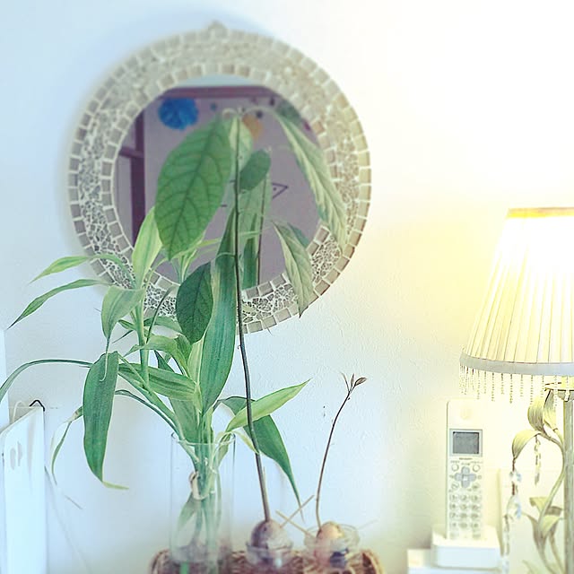 akika_naturalhomeさんの実例写真
