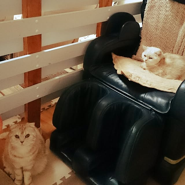 hanahanaさんの実例写真