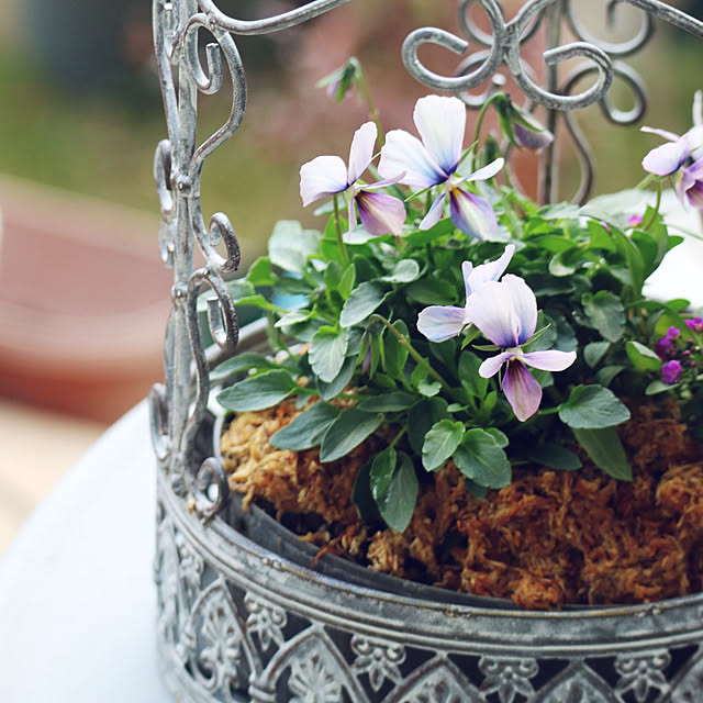 rokokoさんの実例写真