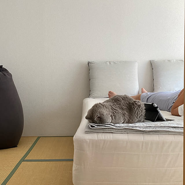 chulashihoさんの実例写真