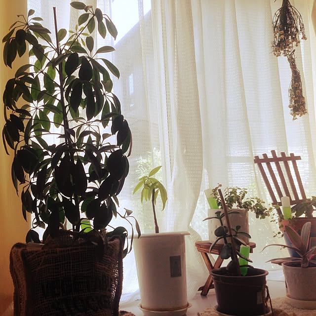 yuka7さんの実例写真