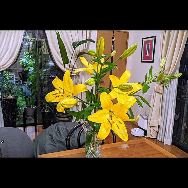 aromameさんの実例写真