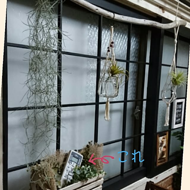 kazoomさんの実例写真