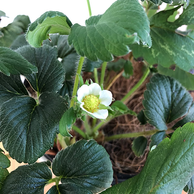 azureさんの部屋