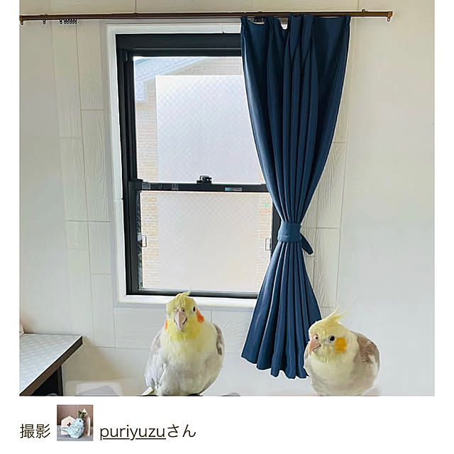 puriyuzuさんの実例写真