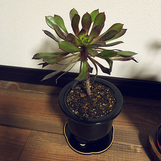 yucaさんの実例写真