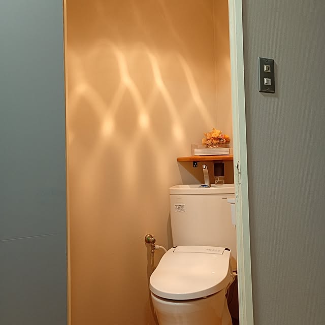 hachiさんの部屋