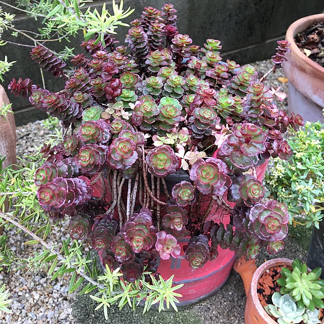 sanw2225719さんの実例写真