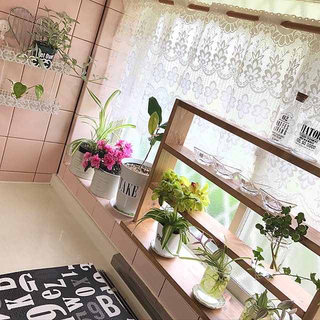 haruさんの実例写真