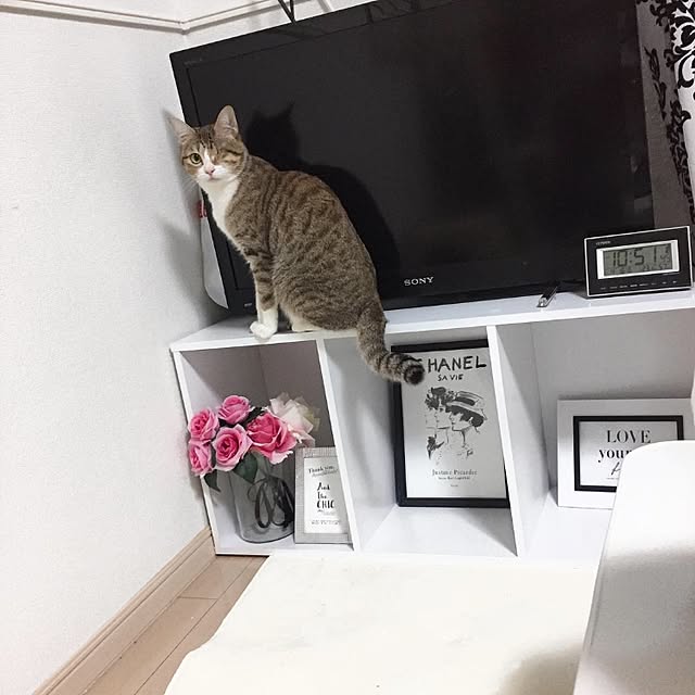 chiroさんの実例写真