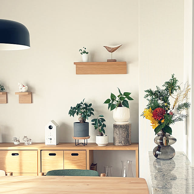 Anthuriumさんの部屋