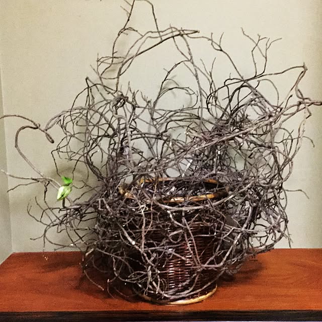 kimagureyaさんの実例写真