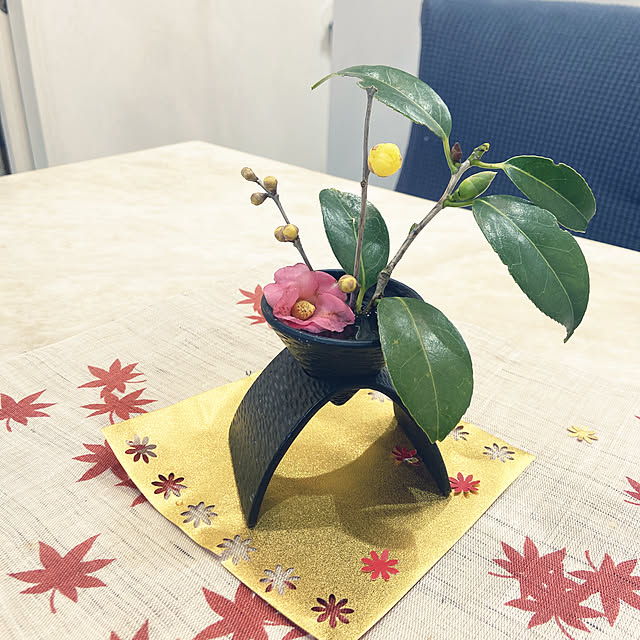 speranzaさんの実例写真