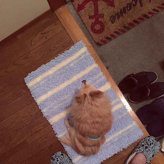 Honeyさんの実例写真