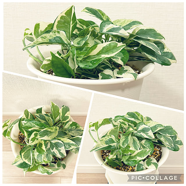 yoyoyoさんの部屋