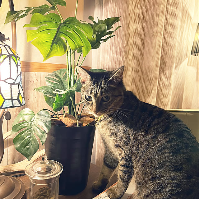 Mさんの実例写真