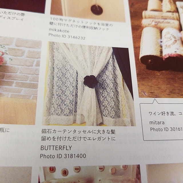 BUTTERFLYさんの実例写真