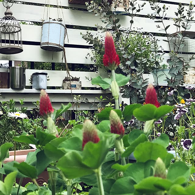 kokko3さんの実例写真