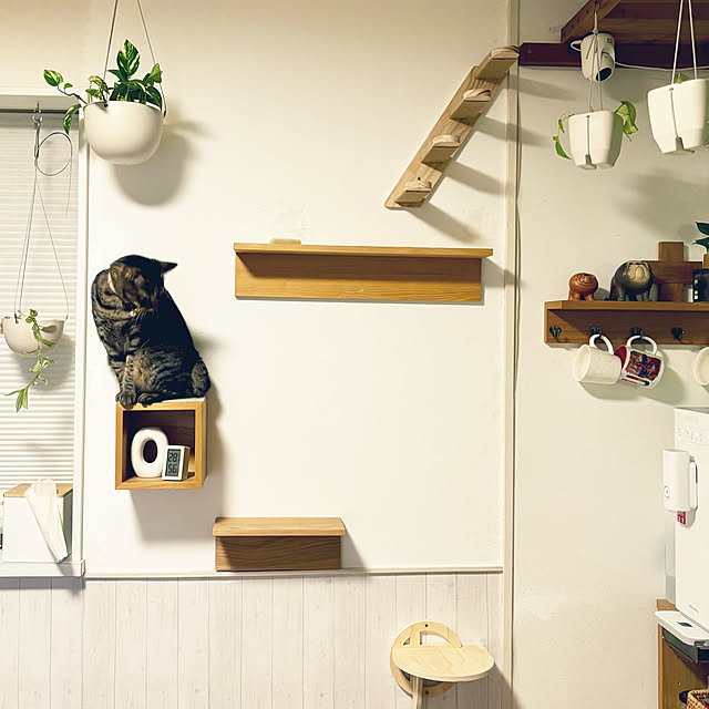 masamasaさんの部屋