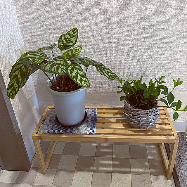 mamimoさんの部屋