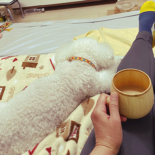 Annieさんの実例写真