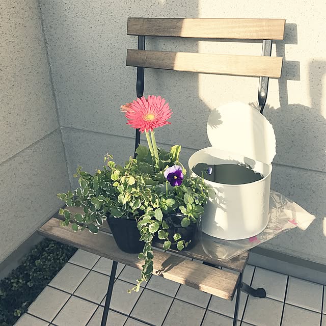 mayuさんの実例写真
