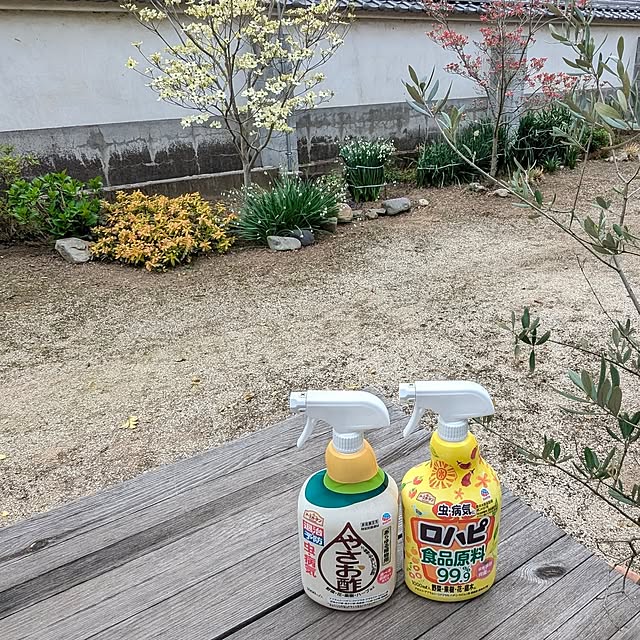 tabasaさんの実例写真