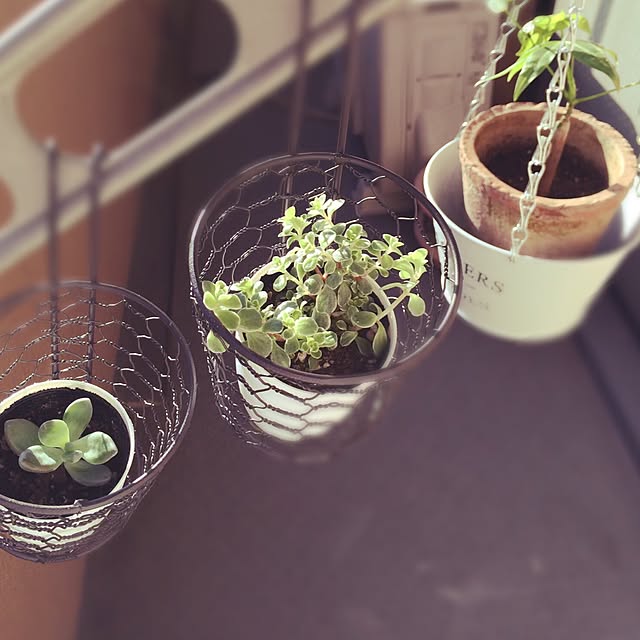 sariAug.さんの実例写真