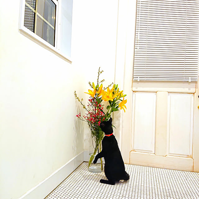 piさんの実例写真