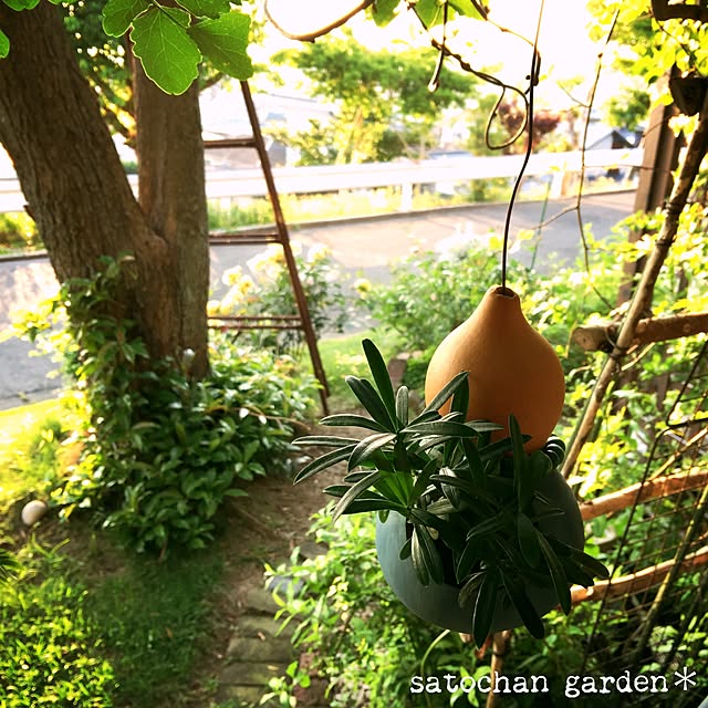 satochanさんの実例写真