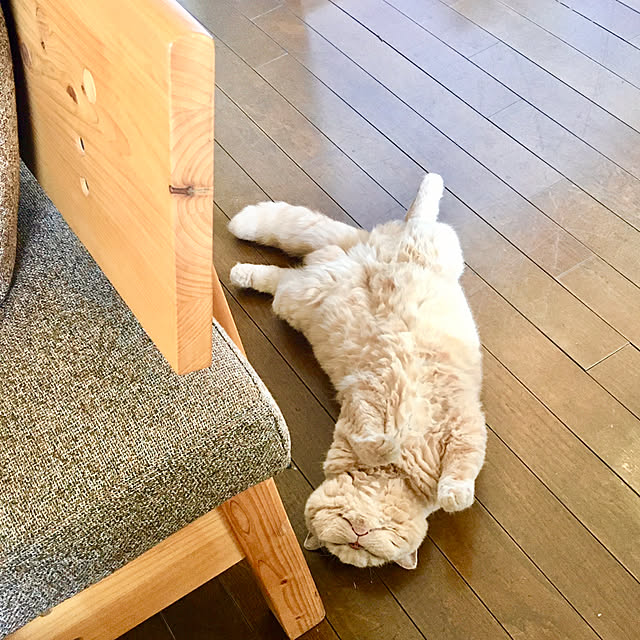 naokoさんの部屋