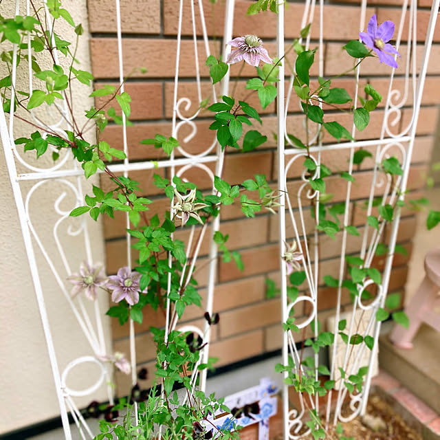 sunabaさんの実例写真