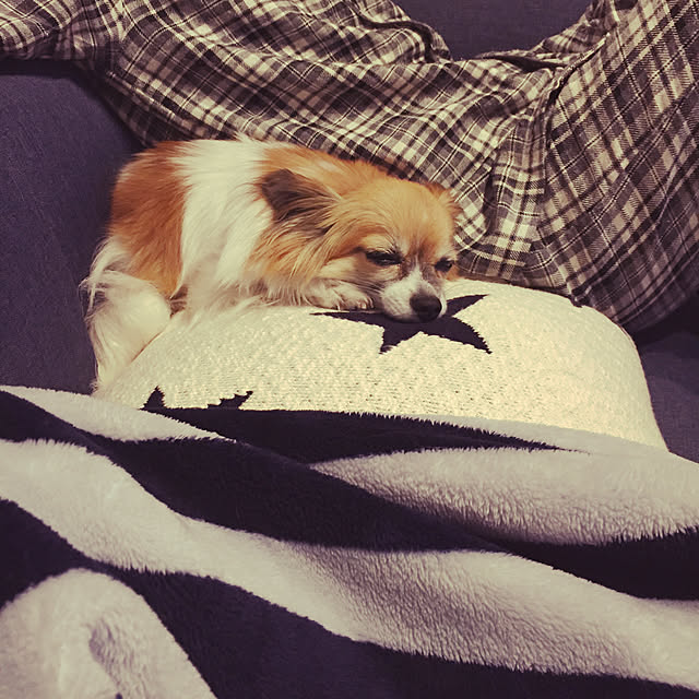 cocoelleさんの実例写真