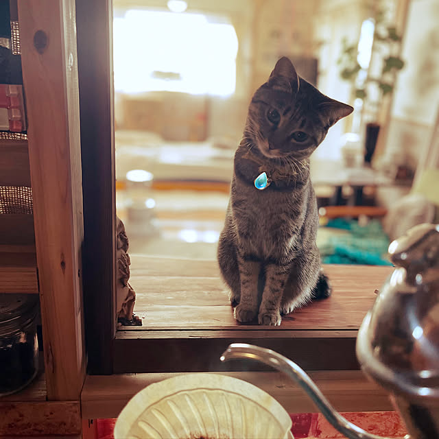 Mさんの実例写真