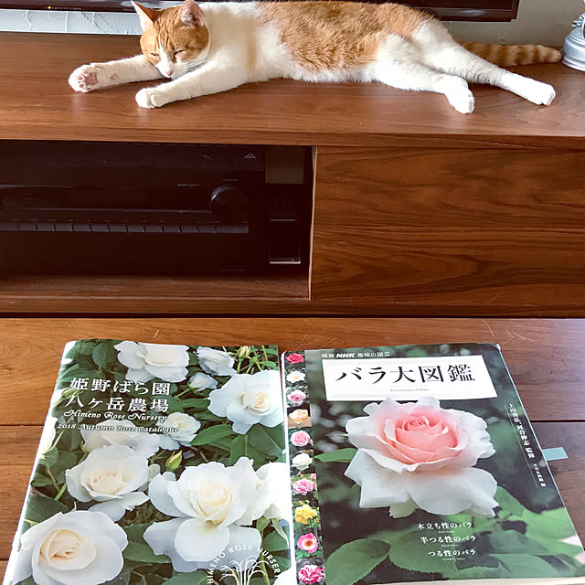 sakurasakuさんの実例写真
