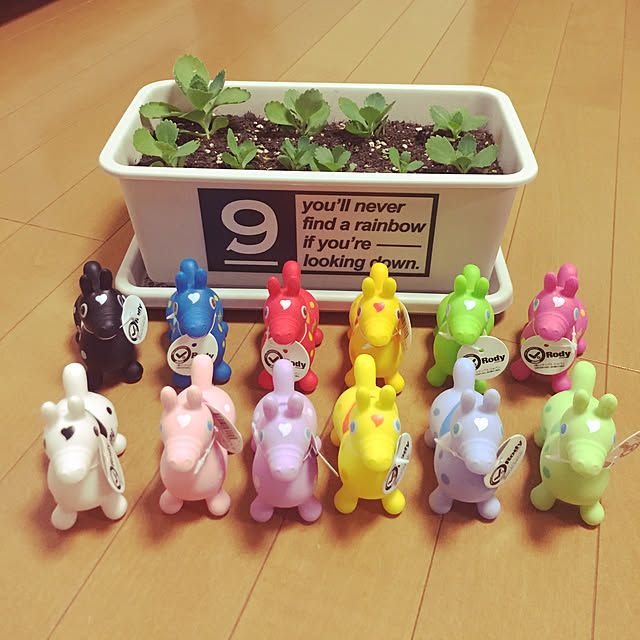 chi_tanさんの実例写真