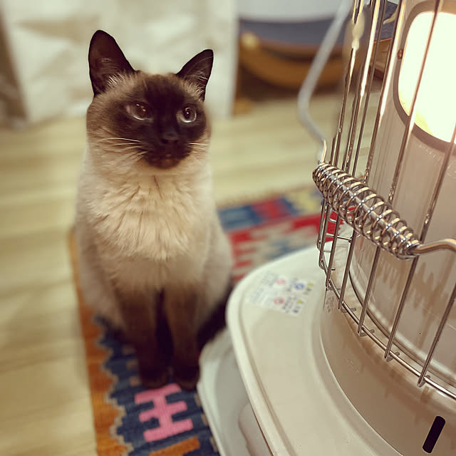 hirokoさんの部屋